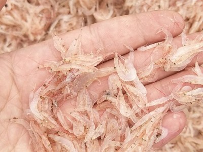 越南虾皮-越南虾皮下载