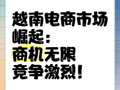 越南电商情况怎么样-越南电子商务平台
