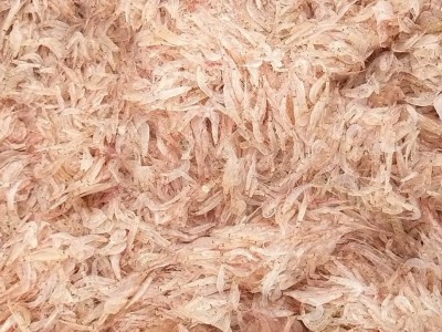 越南虾皮加工厂-虾皮越南站选品