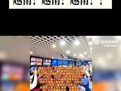 越南网站上的中国-越南网络