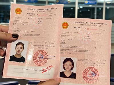 越南电子签证申请网站-越南签证查询进度查询