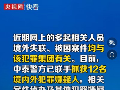 越南跨境电商陷阱-越南 电商平台