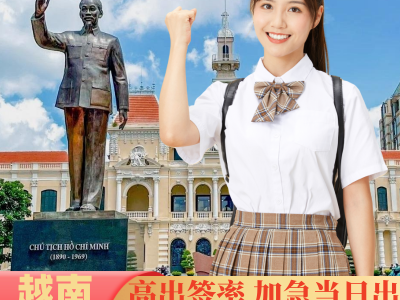 越南网站是什么-越南网络平台