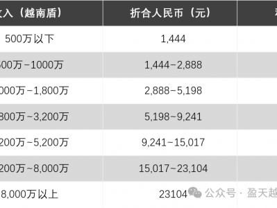越南跨境平台税-越南税务政策