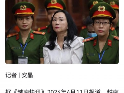越南诈骗最新消息-越南诈骗案最多判几年