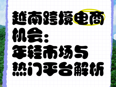 越南用什么电商平台-越南用什么电商平台好