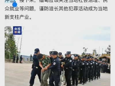 越南打击电信诈骗-越南电信诈骗名单