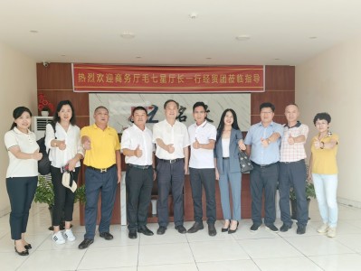 越南考察团推荐-越南领导访华