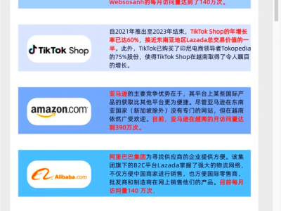 越南目前的电商市场-越南最大的电商平台