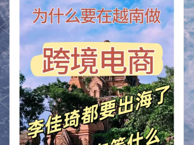 在中国可以做越南本土电商平台吗-中国人可以在越南开店铺吗