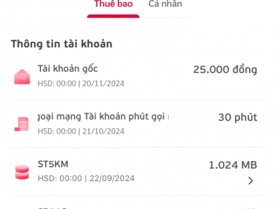 在越南网购用什么app-越南人网购平台