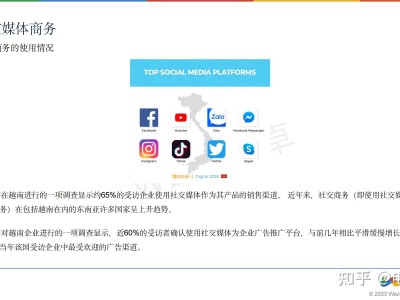 越南电商发展现状如何写-越南最大的电商平台是什么