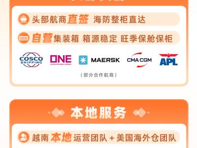 越南电商处罚标准-越南电子商务平台