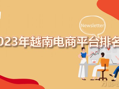卖货到越南哪个平台好-怎么从越南进货