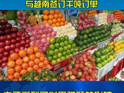 越南购物中国订单-越南购物中国订单数据