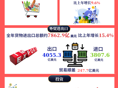越南电商app排行榜前十名-越南最大的电商平台是什么