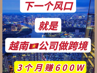 越南电商代发-越南电商发展情况