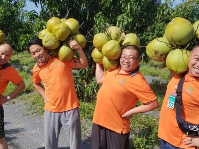 2018越南跨境诈骗-越南诈骗罪量刑
