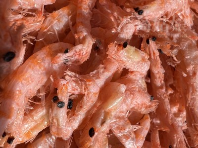 虾皮越南优化-虾皮越南站点上架产品语言