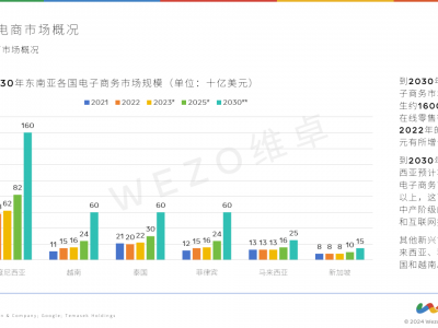 越南电商市场分析优化-越南国内电商平台